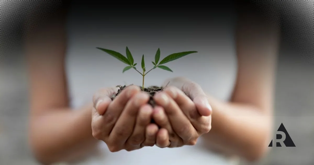 Hands holding a small plant seedling representing growth