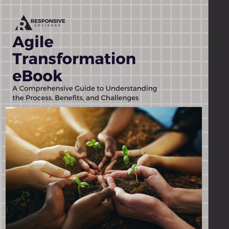 eBook Agile Transformation 800 x 800